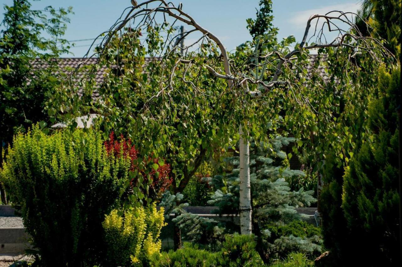 Villa Grand Family Rozhny Exteriér fotografie